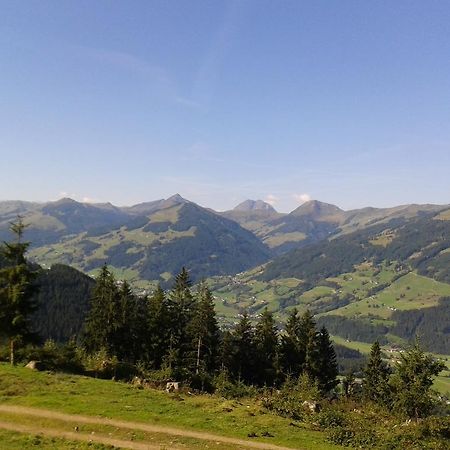 Готель Alpenhof Кірхберг Екстер'єр фото