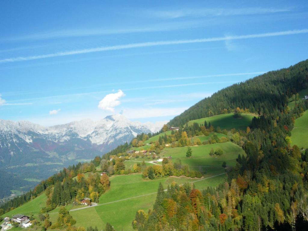 Готель Alpenhof Кірхберг Екстер'єр фото