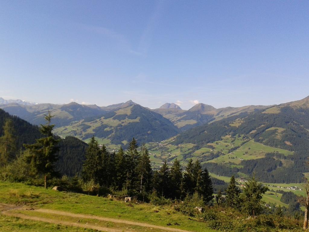 Готель Alpenhof Кірхберг Екстер'єр фото