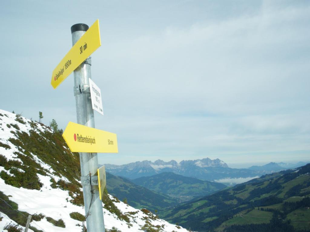 Готель Alpenhof Кірхберг Екстер'єр фото